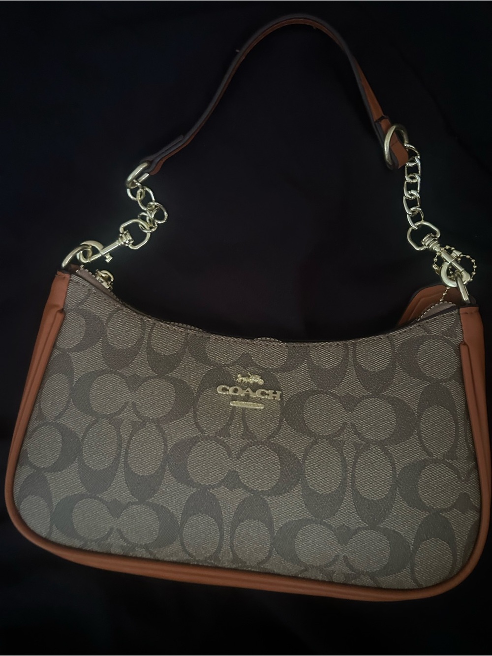 Brown Coach Bag